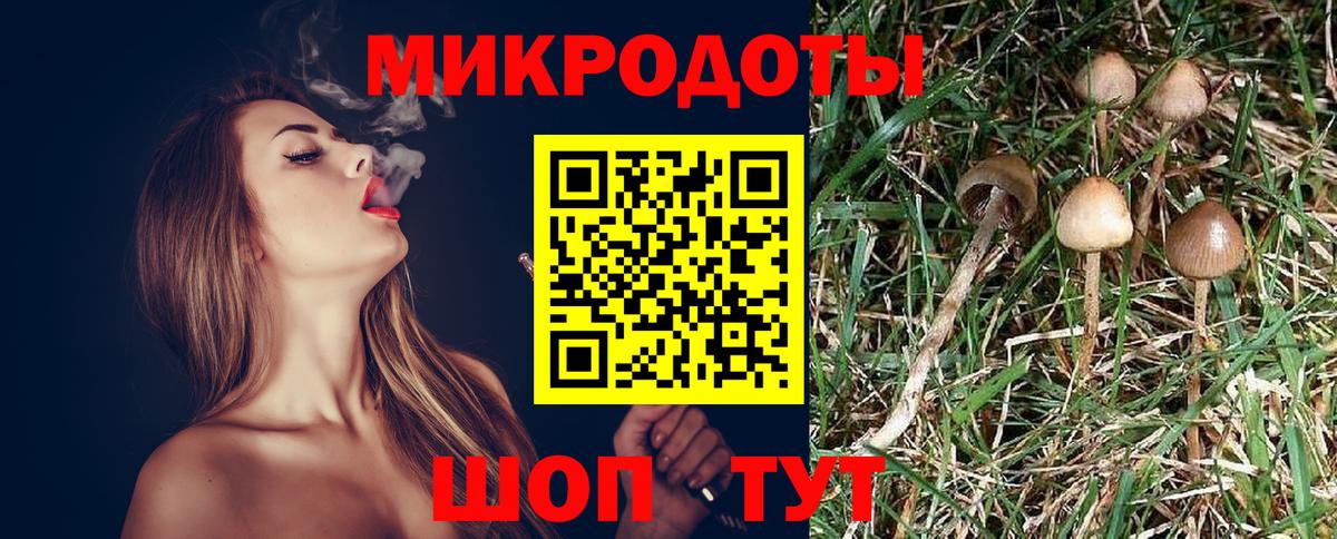 Галлюциногенные грибы мухоморы Камышлов