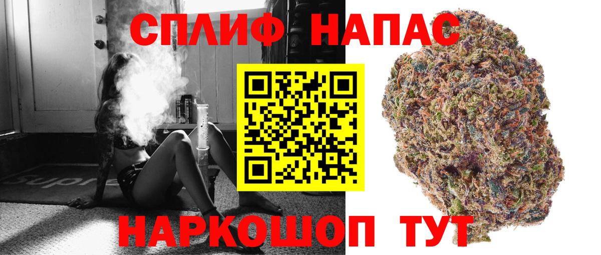 Конопля план Камышлов